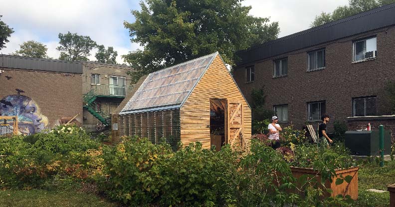 Serre dans un jardin-potager