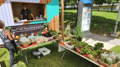 Du jardin à l’assiette : comprendre les systèmes alimentaires locaux